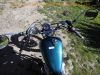 Yamaha_XV250_Virago_3LW_Chopper_gruen_HAGON_Federbeine_Sissy-Bar_Gepaecktraeger_-_wie_3LS_XV_125_535_750_5AJ_2YL_3BR_5G5_65.jpg