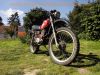 Honda_XL500S_PD01_Acker_Oldtimer_Twinshock_Enduro_Motor_Technik_OK_-_wie_FT_XL_500_250_R_S_PD02_MD03_51.jpg