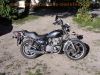 Kawasaki_KZ440_Z440_LTD_Belt-Drive_Krauser_Gepaecksystem_Sturzbuegel_rostig_Motor_laeuft_37.jpg