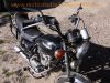 Kawasaki_KZ440_Z440_LTD_Belt-Drive_Krauser_Gepaecksystem_Sturzbuegel_rostig_Motor_laeuft_39.jpg