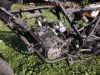 Honda_NSR50_AC08_Sport-Mokick_Motor_AC08E_wie_MB50_MBX_50_NS50_NS-1_50_NS50F_NS50R_NSR50R_Ersatzteile_Teile_spare-parts_spares_81.jpg