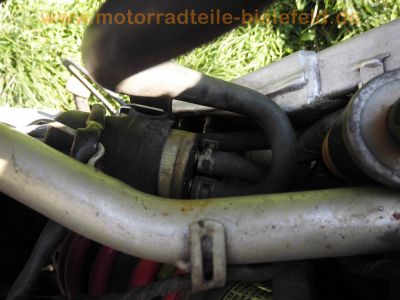 Honda_CBR600F_PC19_Lenhardt_Wagner_4-1_Auspuff_Crash-Test_Ersatzteile_Teile_spare-parts_spares_-_wie_PC23_CBR1000F_SC21_14.jpg