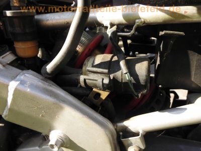 Honda_CBR600F_PC19_Lenhardt_Wagner_4-1_Auspuff_Crash-Test_Ersatzteile_Teile_spare-parts_spares_-_wie_PC23_CBR1000F_SC21_26.jpg