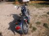 Yamaha_XV535_VIRAGO_3BR_blau_Windschild_Scheibe_Wildschaden_-_Technik_Motor_wie_2YL_3BT_4KU_4MC_47.jpg