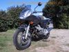 Yamaha_XJ600S_Diversion_4BR_silber-grau_Sturzschaden_Sturzbuegel_3.jpg