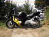 Honda_CBR600F_PC25_schwarz-gelb_Scott-Oiler_TRW-Lenker_-_wie_PC23_PC31_1.jpg