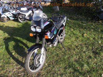 Yamaha_XTZ_660_Tenere_3YF_1998_schwarz_Sturzbuegel_-_wie_4BW_4MY_4NV_4NW_4MD_Motor_wie_SZR_660_4SU_3.jpg