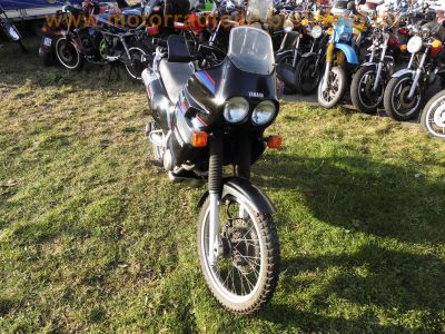 Yamaha_XTZ_660_Tenere_3YF_1998_schwarz_Sturzbuegel_-_wie_4BW_4MY_4NV_4NW_4MD_Motor_wie_SZR_660_4SU_54.jpg