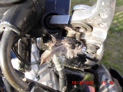 Suzuki_GSF1200S_Bandit_GV75A_crash_BOS-Auspuff_TRW_Lucas_Fussrasten_-_Ersatzteile_Teile_spares_spare-parts_wie_WVA9_69.JPG