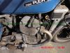 Honda_CX500_C_PC01_blau_Chopper_-_wie_CX_500_Ur-Guelle_PC02_GL_500_D_Silverwing-32.jpg