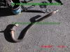 Honda_CLR125_JD18_gelb_Custom-Sitzbank_100kmh_Teile_Ersatzteile_parts_spares_spare-parts_ricambi_repuestos-46.jpg