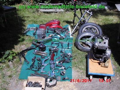 Kawasaki_EL252_EL250_Eliminator_rot_Teile_Ersatzteile_parts_spares_spare-parts_ricambi_repuestos_-1.jpg