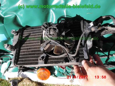 Kawasaki_EL252_EL250_Eliminator_rot_Teile_Ersatzteile_parts_spares_spare-parts_ricambi_repuestos_-13.jpg
