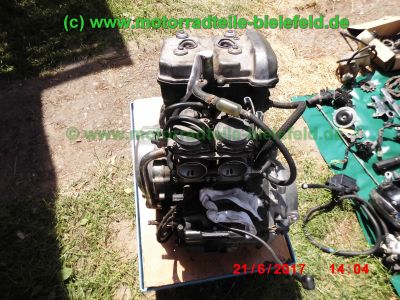 Kawasaki_EL252_EL250_Eliminator_rot_Teile_Ersatzteile_parts_spares_spare-parts_ricambi_repuestos_-64.jpg