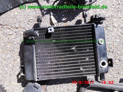 Honda_CBR125R_JC34_rot_Sturz_-_plus_Teile_Ersatzteile_parts_spares_spare-parts_ricambi_repuestos_wie_JC39-133.jpg