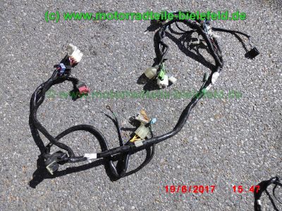 Honda_CBR125R_JC34_rot_Sturz_-_plus_Teile_Ersatzteile_parts_spares_spare-parts_ricambi_repuestos_wie_JC39-33.jpg
