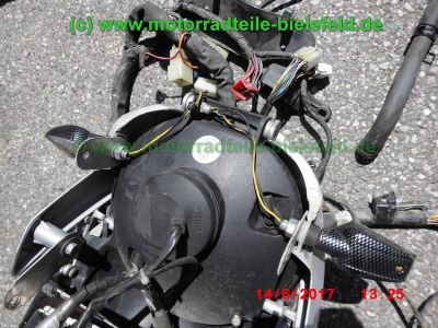 Yamaha_TDM900_RN08_Teile_Ersatzteile_parts_spares_spare-parts_ricambi_repuestos_Motor_TAKKONI_2-1_Sport-Auspuff_BT_Bulldog_Front_-_wie_RN11_RN18_TDM_900_850_XTZ_750-120.jpg