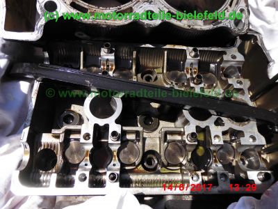 Yamaha_TDM900_RN08_Teile_Ersatzteile_parts_spares_spare-parts_ricambi_repuestos_Motor_TAKKONI_2-1_Sport-Auspuff_BT_Bulldog_Front_-_wie_RN11_RN18_TDM_900_850_XTZ_750-133.jpg