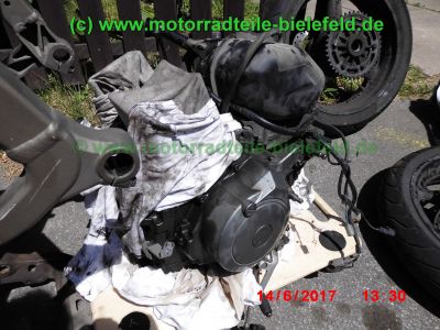 Yamaha_TDM900_RN08_Teile_Ersatzteile_parts_spares_spare-parts_ricambi_repuestos_Motor_TAKKONI_2-1_Sport-Auspuff_BT_Bulldog_Front_-_wie_RN11_RN18_TDM_900_850_XTZ_750-142.jpg