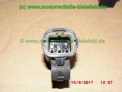 Yamaha_TDM900_RN08_Teile_Ersatzteile_parts_spares_spare-parts_ricambi_repuestos_Motor_TAKKONI_2-1_Sport-Auspuff_BT_Bulldog_Front_-_wie_RN11_RN18_TDM_900_850_XTZ_750-173.jpg
