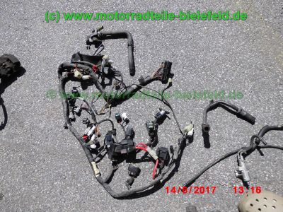 Yamaha_TDM900_RN08_Teile_Ersatzteile_parts_spares_spare-parts_ricambi_repuestos_Motor_TAKKONI_2-1_Sport-Auspuff_BT_Bulldog_Front_-_wie_RN11_RN18_TDM_900_850_XTZ_750-58.jpg