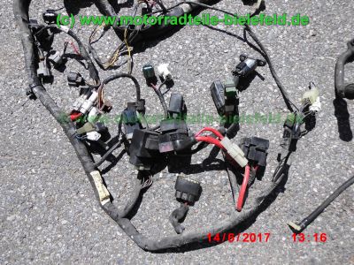 Yamaha_TDM900_RN08_Teile_Ersatzteile_parts_spares_spare-parts_ricambi_repuestos_Motor_TAKKONI_2-1_Sport-Auspuff_BT_Bulldog_Front_-_wie_RN11_RN18_TDM_900_850_XTZ_750-59.jpg