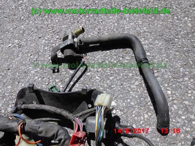 Yamaha_TDM900_RN08_Teile_Ersatzteile_parts_spares_spare-parts_ricambi_repuestos_Motor_TAKKONI_2-1_Sport-Auspuff_BT_Bulldog_Front_-_wie_RN11_RN18_TDM_900_850_XTZ_750-61.jpg