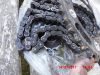 Yamaha_TDM900_RN08_z_RN11_RN18_Kettensatz_chain-kit_02.JPG