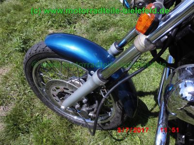 Yamaha_XV125_Virago_5AJ_Classic_gruen-weiss_Sturzbuegel_–_Teile_Ersatzteile_ricambi_repuestos_wie_XV250_3LW_3LS-16.jpg