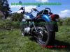 Yamaha_XV125_Virago_5AJ_Classic_gruen-weiss_Sturzbuegel_–_Teile_Ersatzteile_ricambi_repuestos_wie_XV250_3LW_3LS-2.jpg