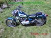 Yamaha_XV125_Virago_5AJ_Classic_gruen-weiss_Sturzbuegel_–_Teile_Ersatzteile_ricambi_repuestos_wie_XV250_3LW_3LS-5.jpg