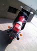 picture00226.jpg